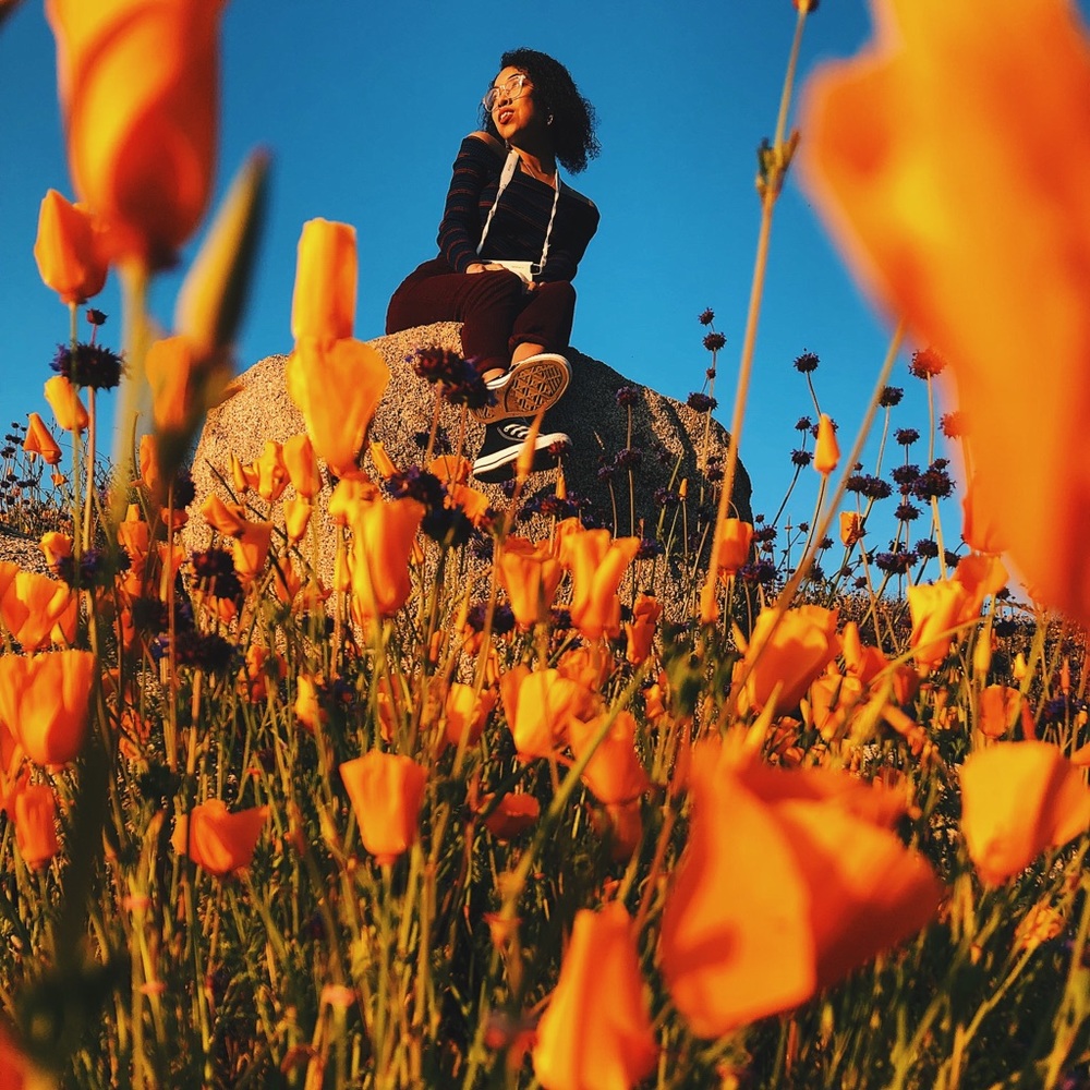 Meet your Posher, Aaliyah